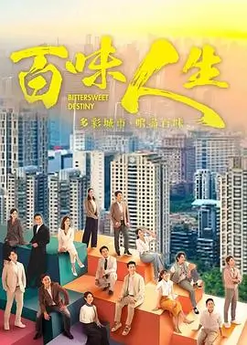 热播电视剧全集《雾港码头》高清海报